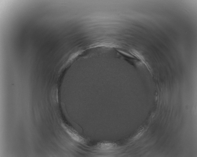 X0000064050205200602031632