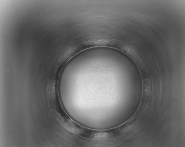 X0000064050206200602031632