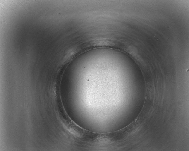 X0000064050207200602031632