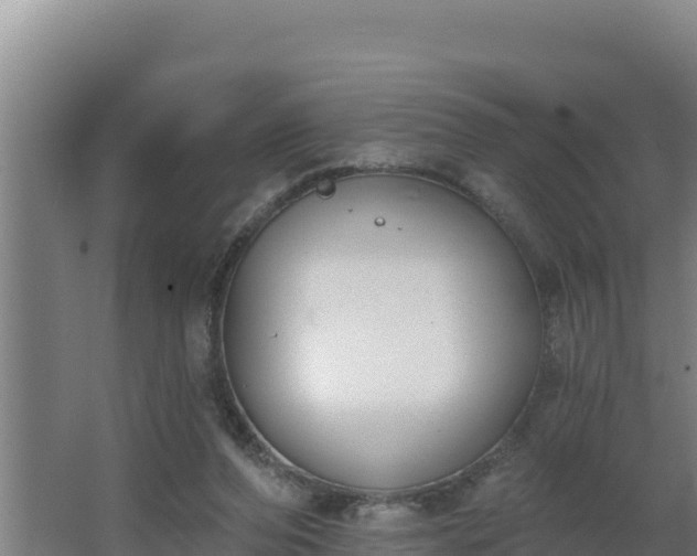 X0000064050208200602031632