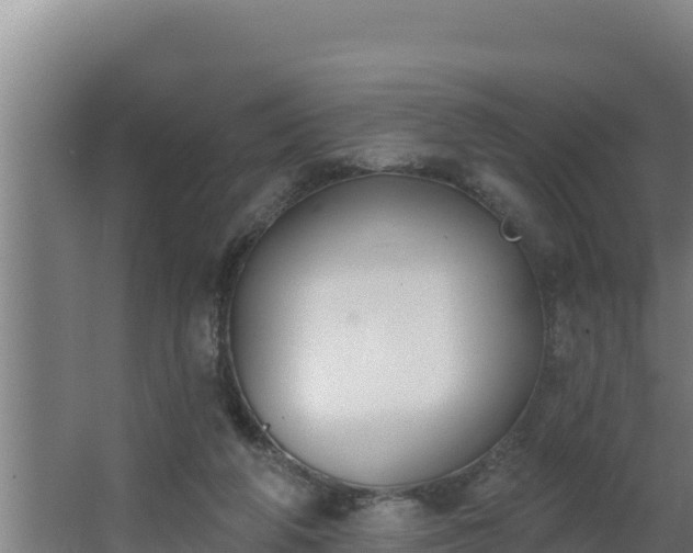 X0000064050210200602031632