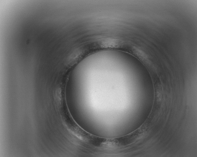 X0000064050211200602031632