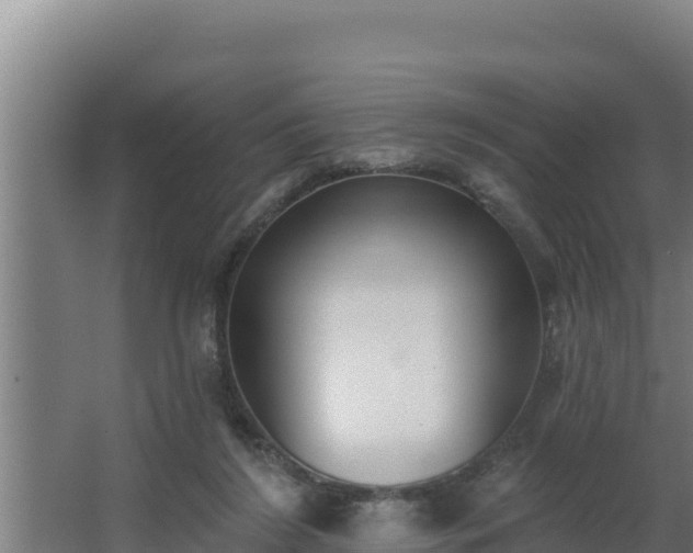 X0000064050212200602031632