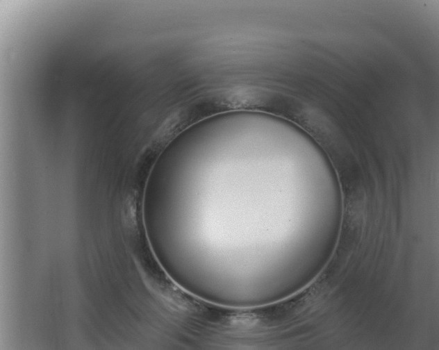 X0000064050214200602031632