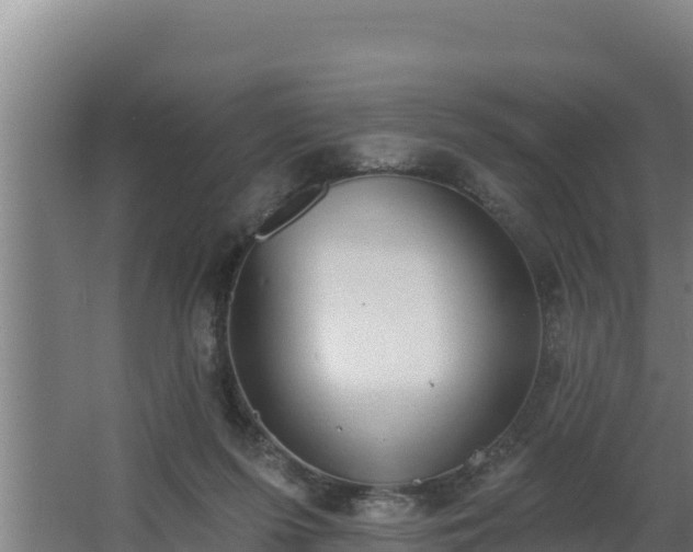 X0000064050215200602031632