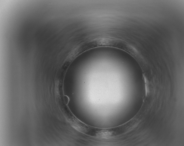 X0000064050217200602031632