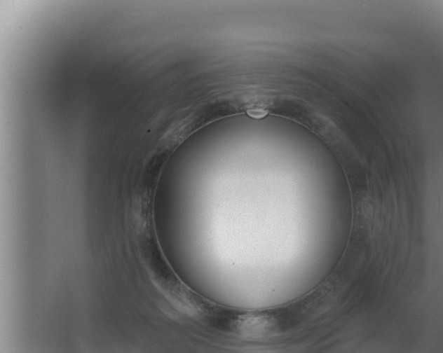 X0000064050218200602031632