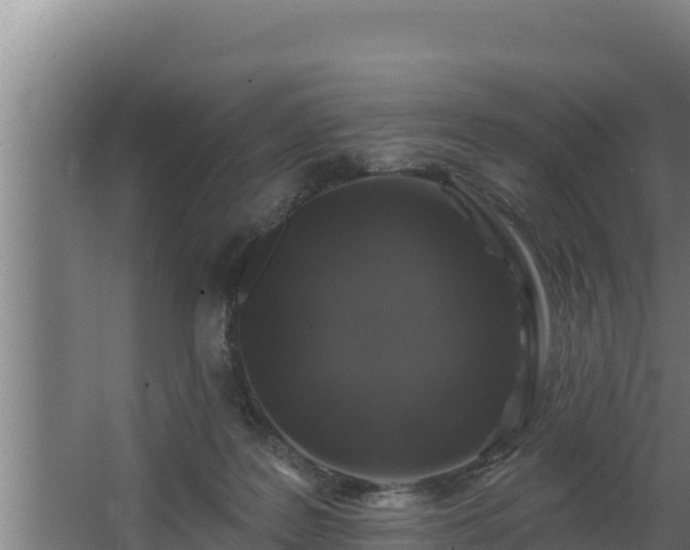 X0000064050219200602031632