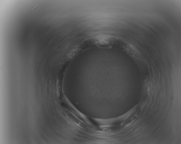 X0000064050223200602031632