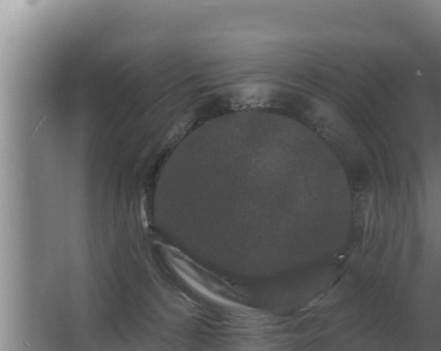 X0000064050224200602031632