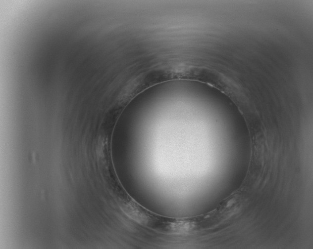 X0000064050225200602031632