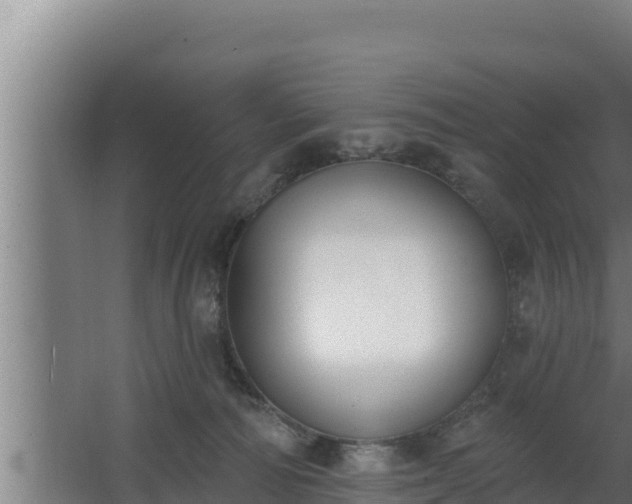 X0000064050226200602031632