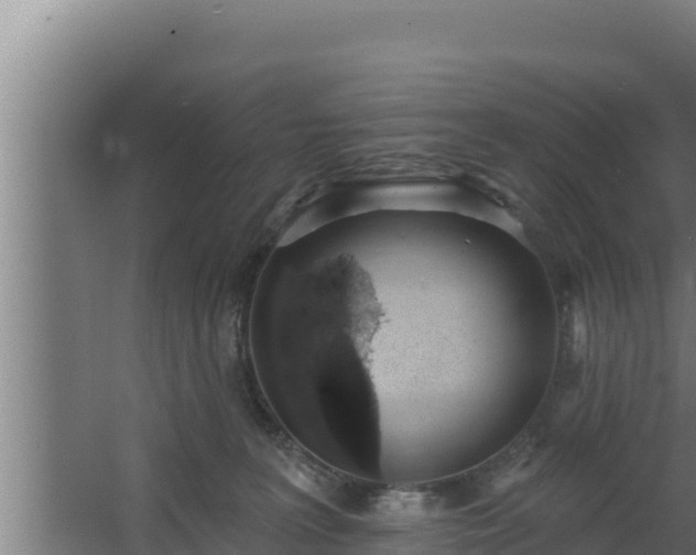 X0000064050227200602031632