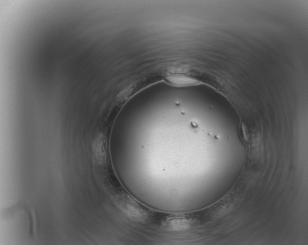 X0000064050228200602031632