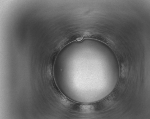 X0000064050230200602031631