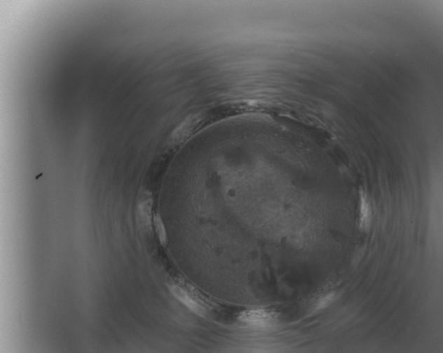 X0000064050231200602031631