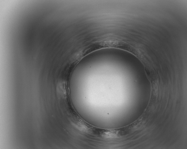 X0000064050232200602031631