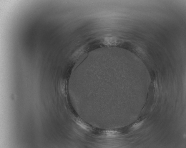 X0000064050233200602031631