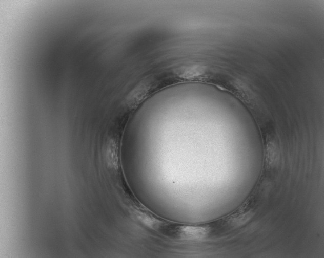 X0000064050234200602031631