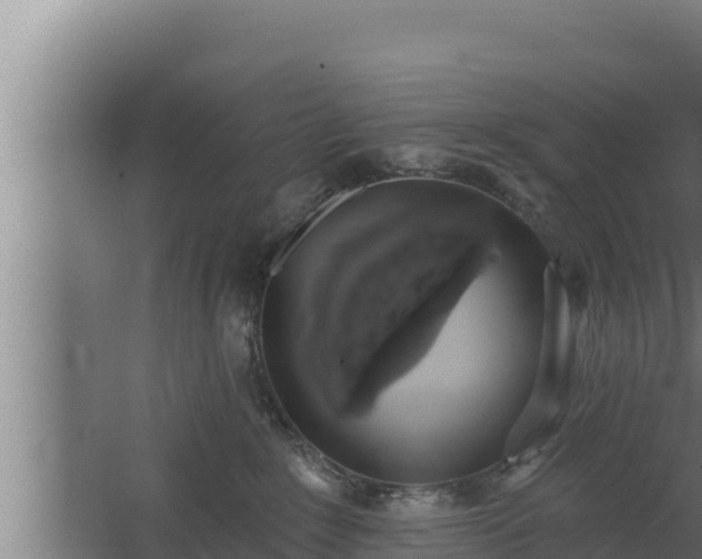 X0000064050235200602031631