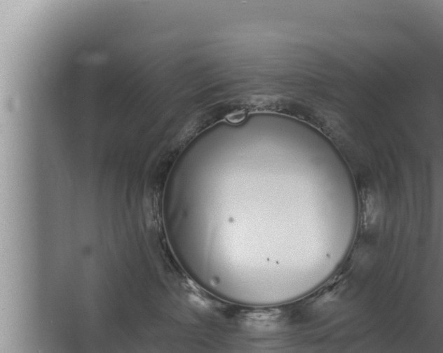 X0000064050236200602031631