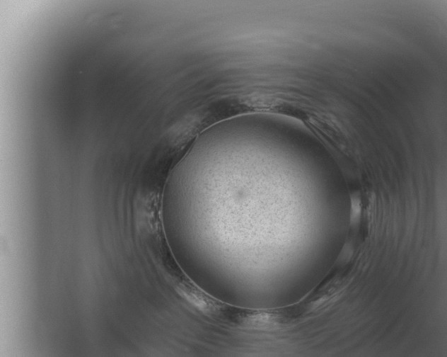 X0000064050237200602031631