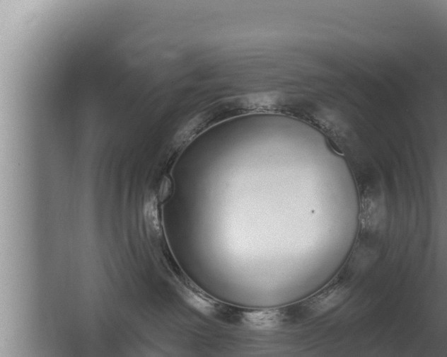 X0000064050238200602031631