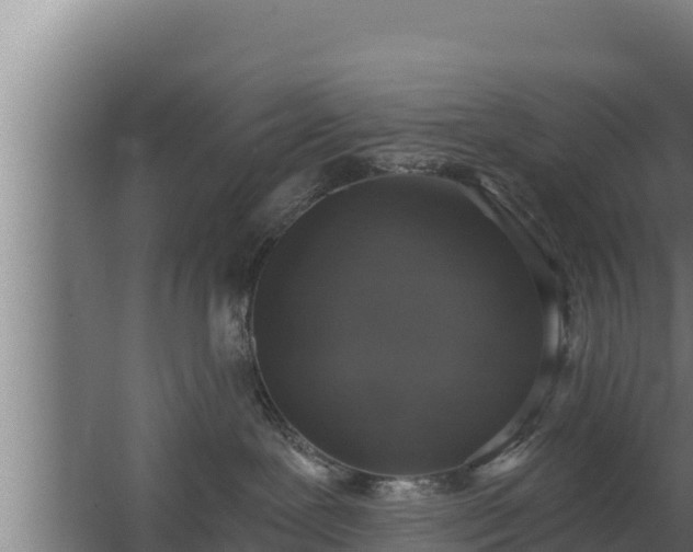 X0000064050239200602031631