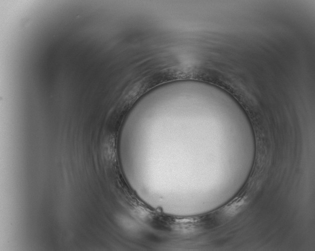 X0000064050240200602031631