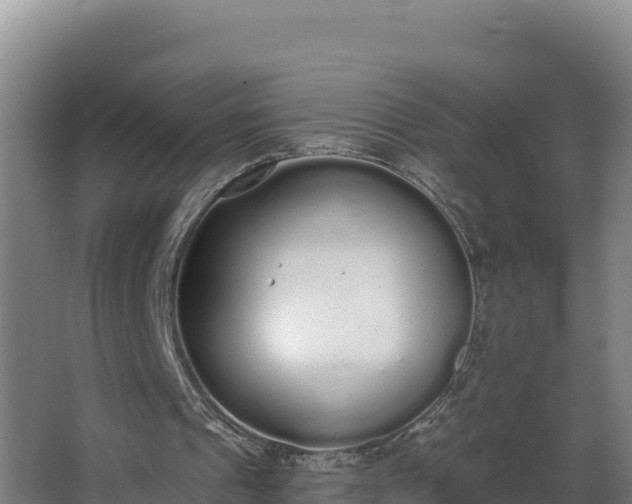 X0000064050241200602031630