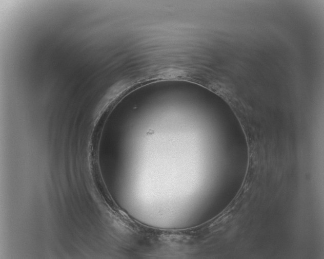 X0000064050242200602031631