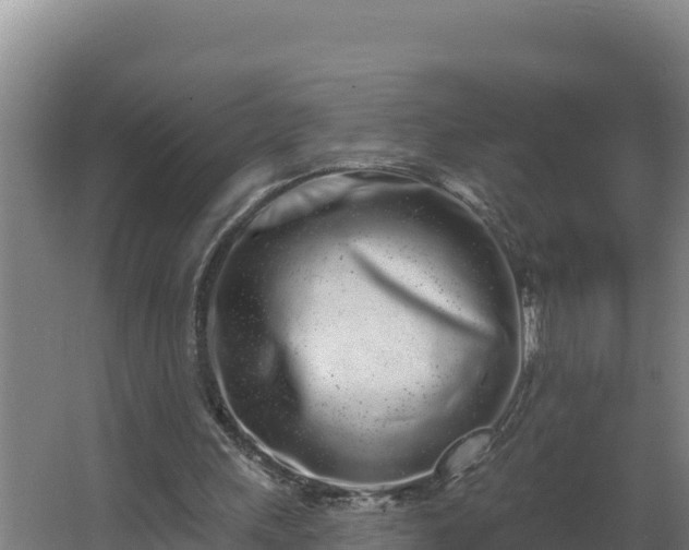 X0000064050243200602031631