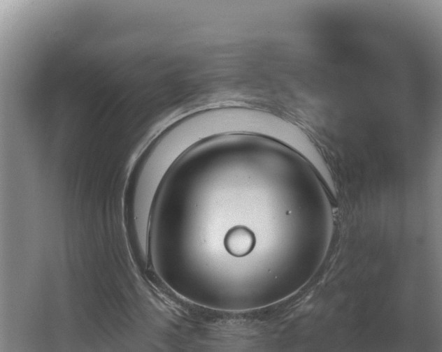 X0000064050244200602031631