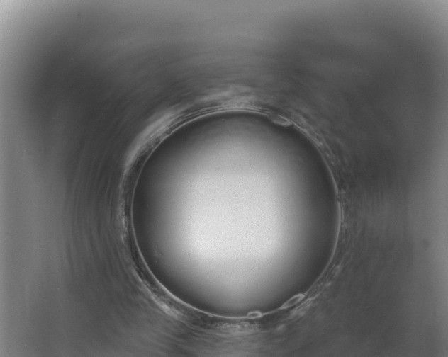 X0000064050245200602031631