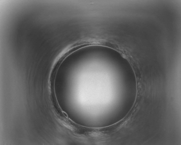 X0000064050246200602031631