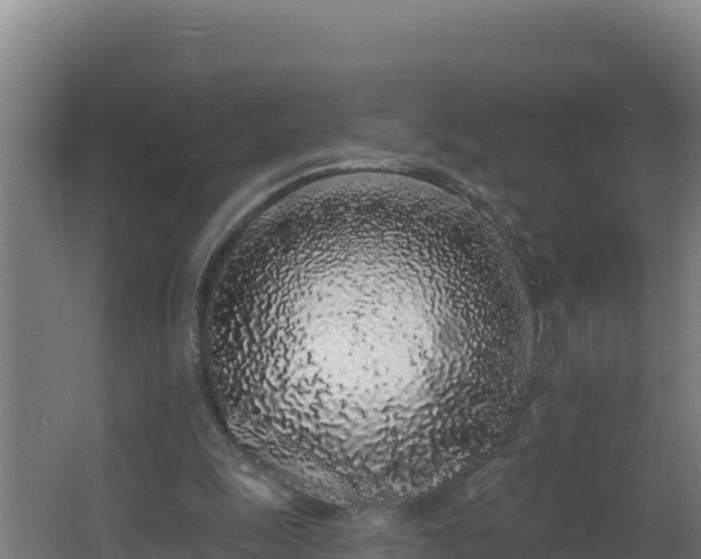 X0000064050247200602031631