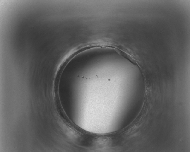 X0000064050248200602031631