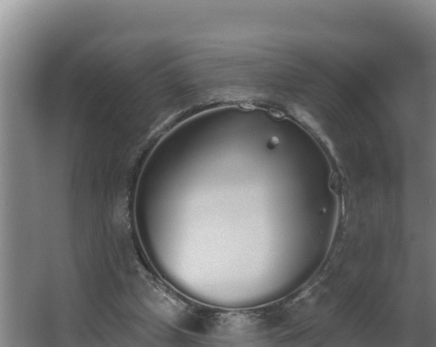 X0000064050249200602031631