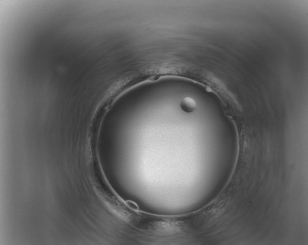 X0000064050250200602031631