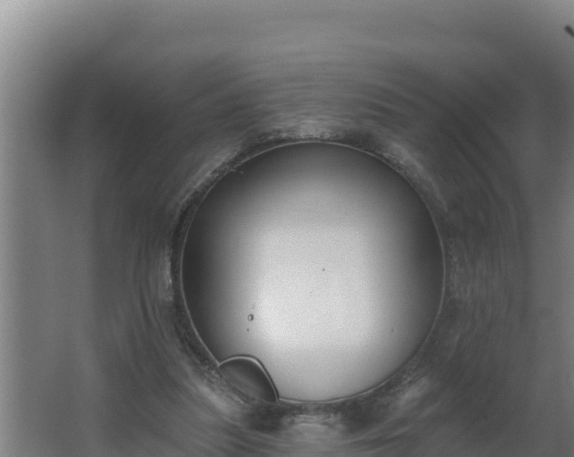 X0000064050251200602031631