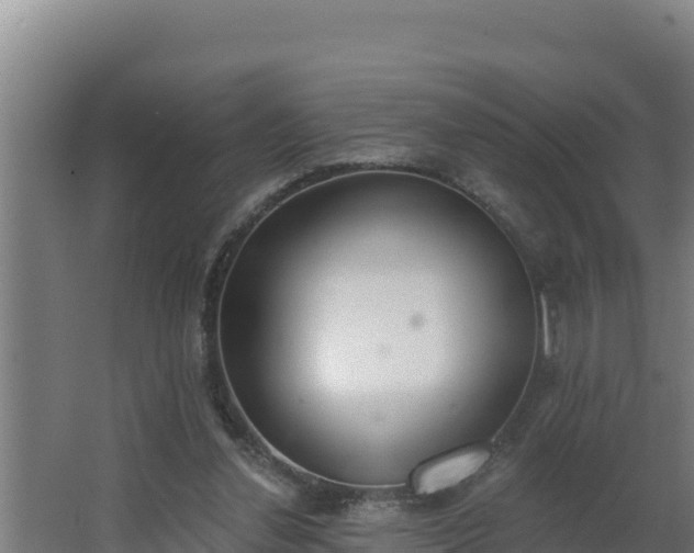 X0000064050252200602031631