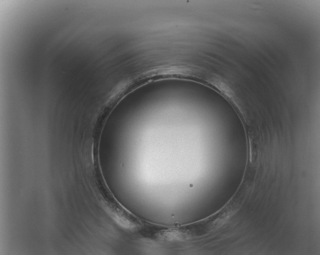 X0000064050253200602031631