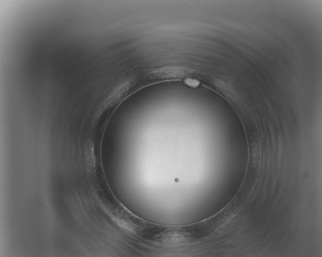 X0000064050254200602031631