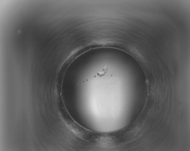 X0000064050256200602031631