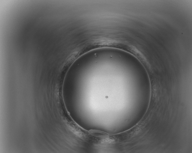 X0000064050257200602031631