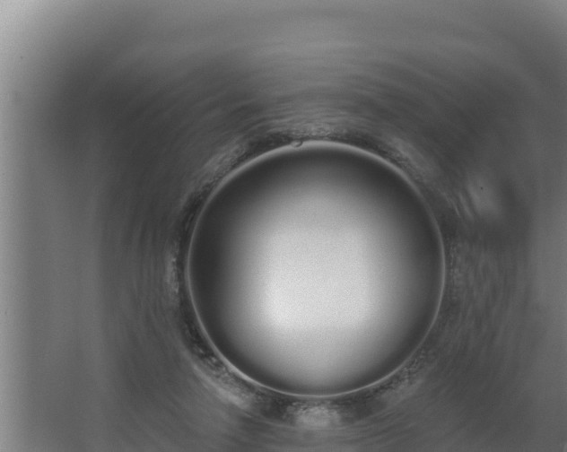 X0000064050258200602031631