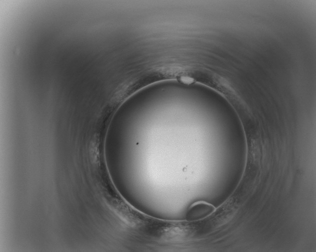 X0000064050259200602031631