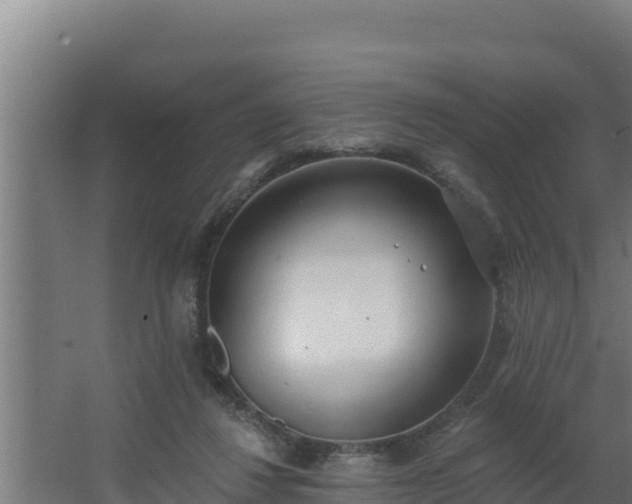 X0000064050260200602031631