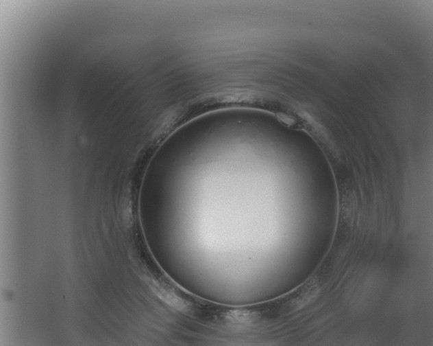 X0000064050261200602031631