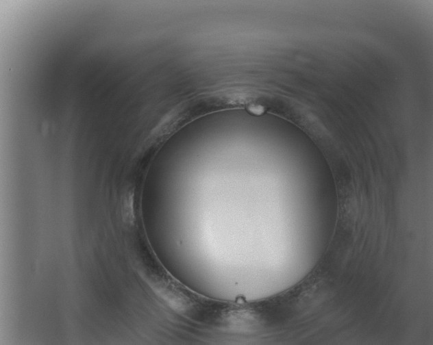 X0000064050262200602031631